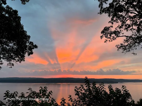 135 Spumante Ln, Counce, TN 38326