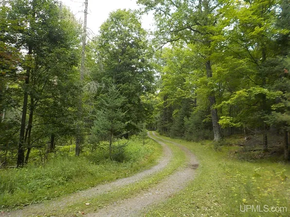 Par C Tirapelli Ln, Crystal Falls, MI 49920