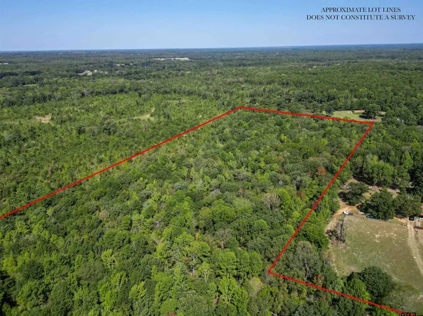 County Road 2540, Mineola, TX 75773
