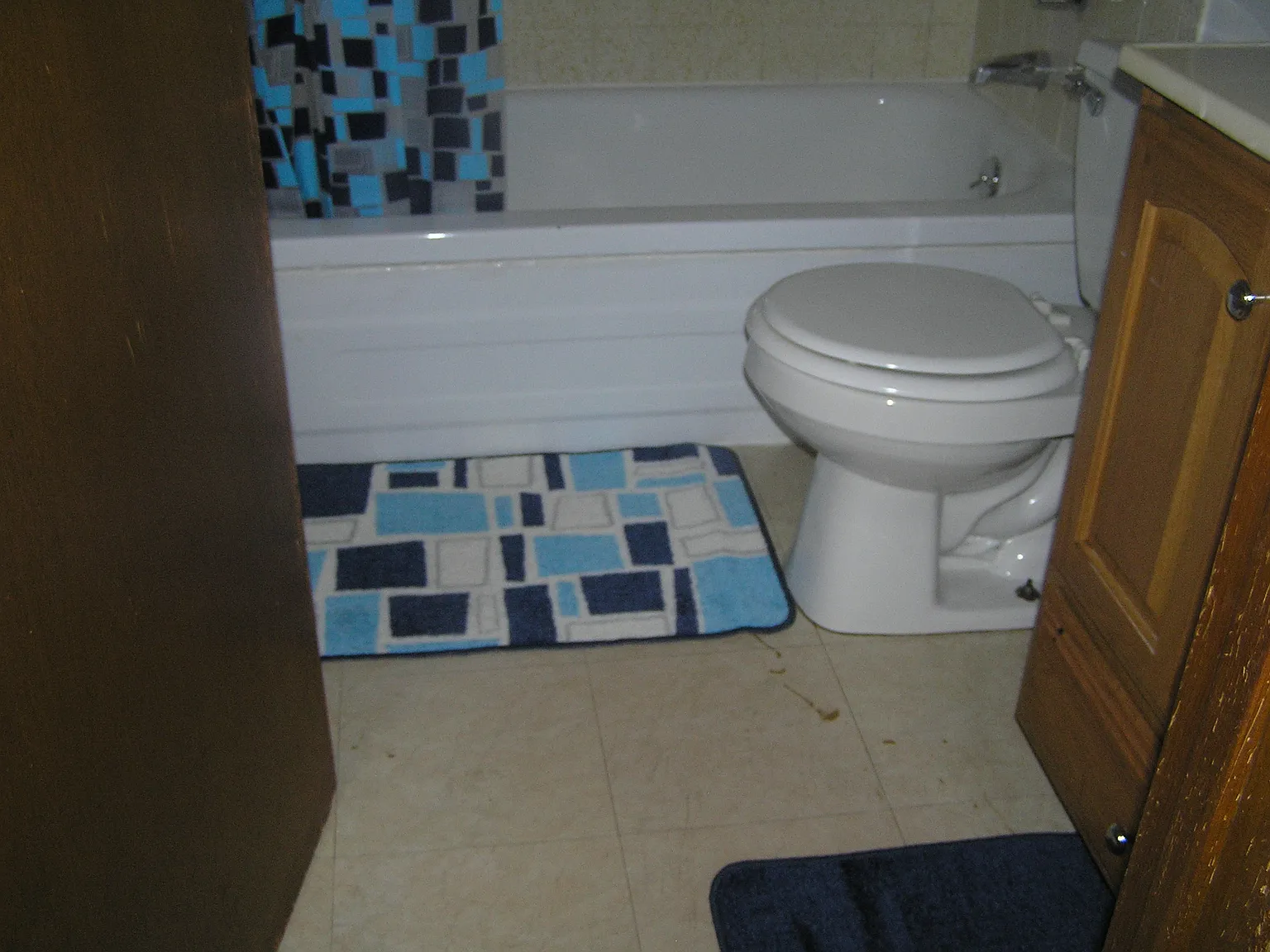 2 bed, 950 sqft, $1,150 — Photo 4