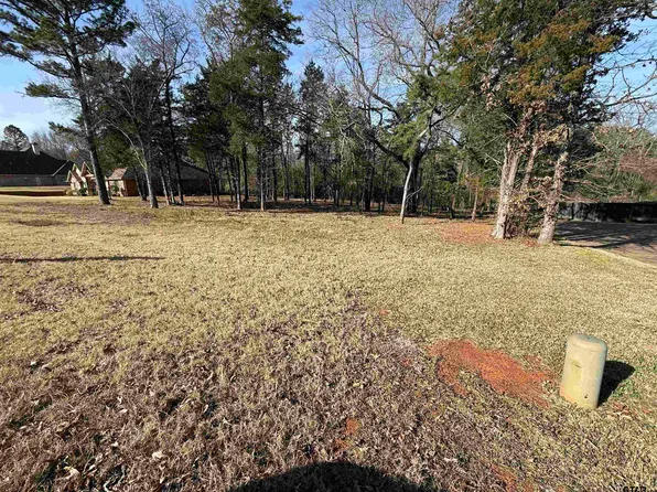 290 Oak Grove Way, Bullard, TX 75757