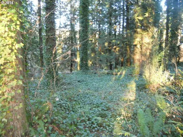 18204 NE Cole Witter Rd, Battle Ground, WA 98604