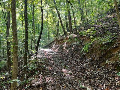 893 Newman Ct, Ranger, GA, 30734