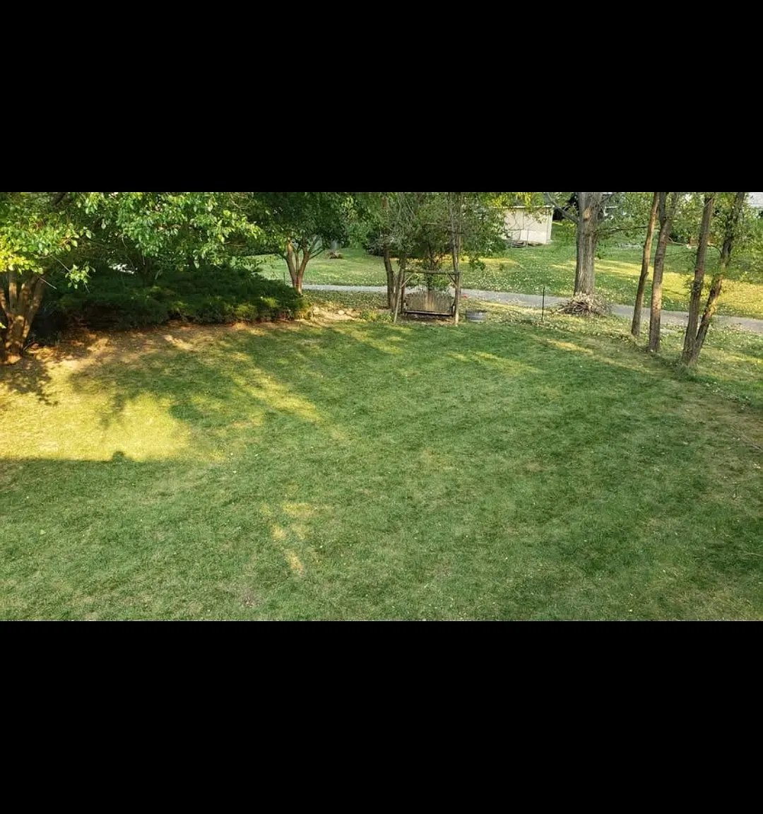 3 bed, 1092 sqft, $2,100 — Photo 2