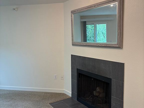 Wood fireplace.