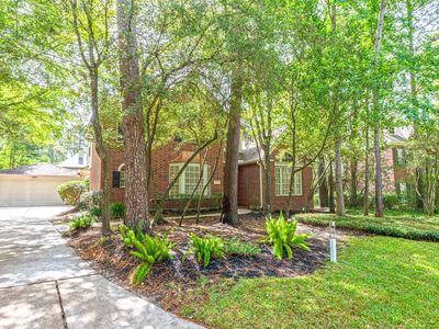 6 Thornbush Pl, Spring, TX, 77381