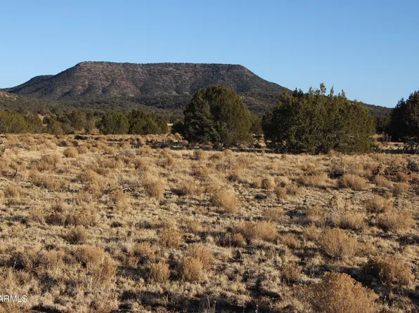 Wrangler R Wrangler Ridge rd -- #301118203, Seligman, AZ 86337