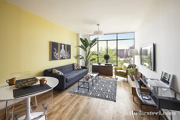 Rented by The Dermot Realty Management Company | media 53