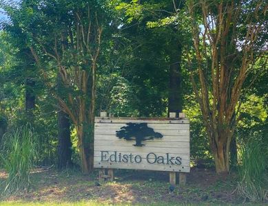 25 Blackbear Dr, Edisto Island, SC, 29438