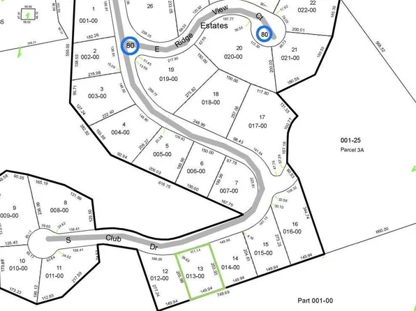 LOT 13 S Club Dr, Cedar, MI 49621