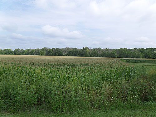 2nd image of 191ST Street