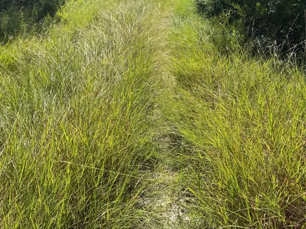 1156 Ridge Dr S, Cleburne, TX 76033