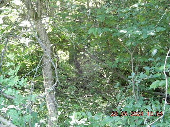 3rd image of 0 Grand Valley Dr Lot 372