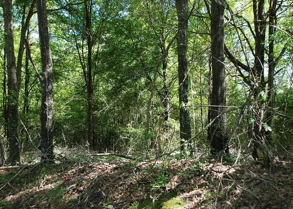 1st image of 6.6 Ac Highway Riv