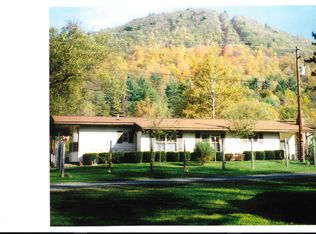 37 Wyatt Ln, Sinnamahoning, PA 15861