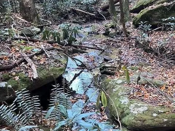 0 Highway 52 E, Ellijay, GA 30540