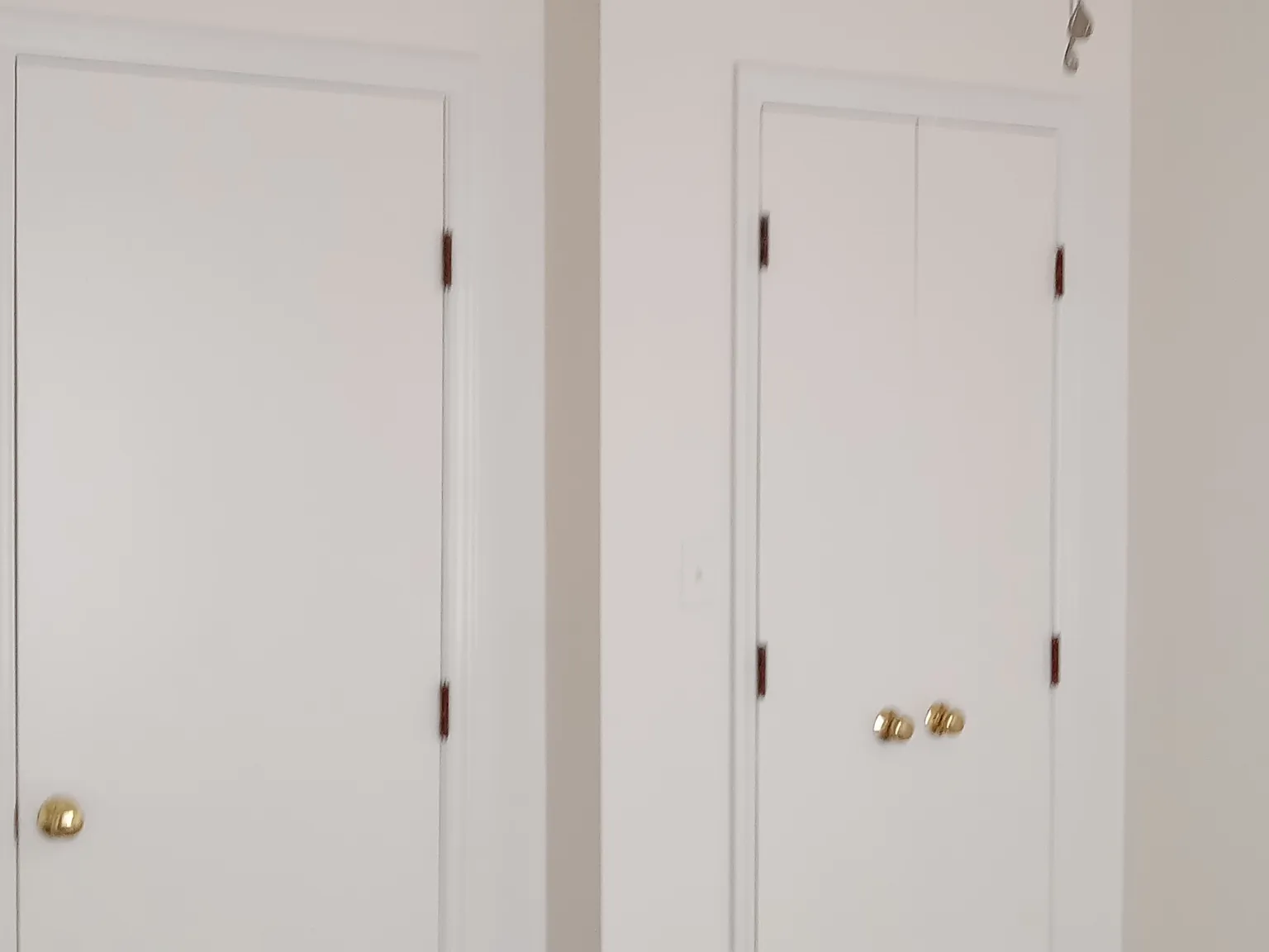 1 bed, $800 — Photo 3