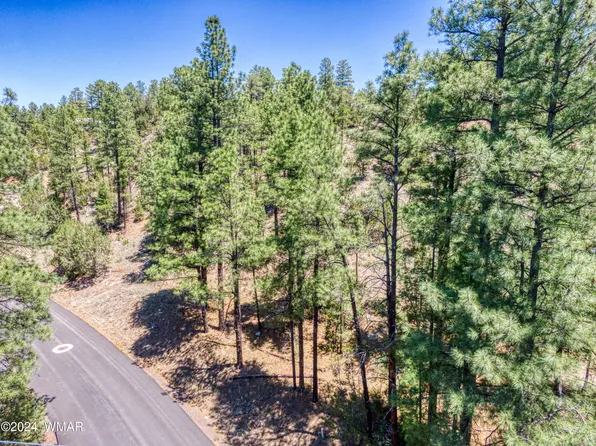 1001 N 24th Dr, Show Low, AZ 85901