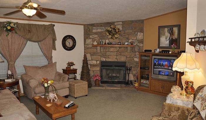 Wood Burning Fire Place
