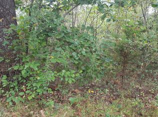 283 Davy Crockett Rd, Limestone, TN 37681