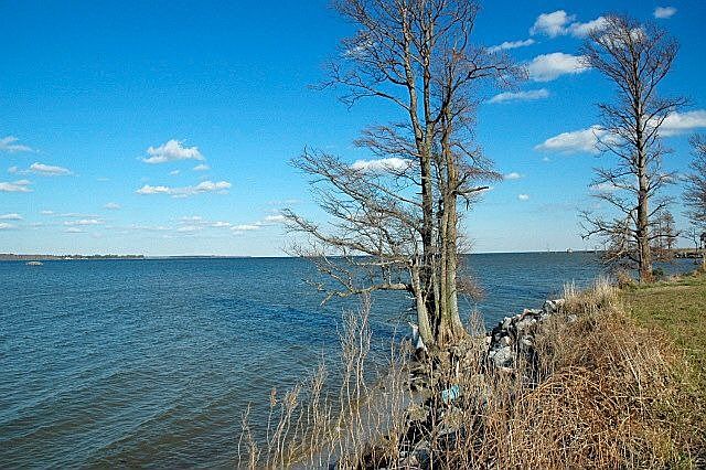 Gorgeous Waterfront!