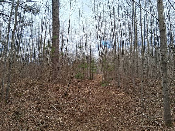 2nd image of LOT 3 Prairie Lake Rd