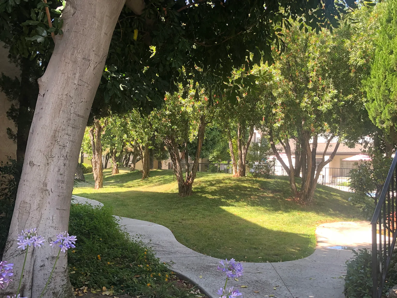 The Pinery Apartments — Photo 3