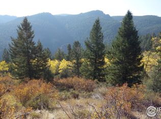 3100 Ridge Rd, Nederland, CO 80466