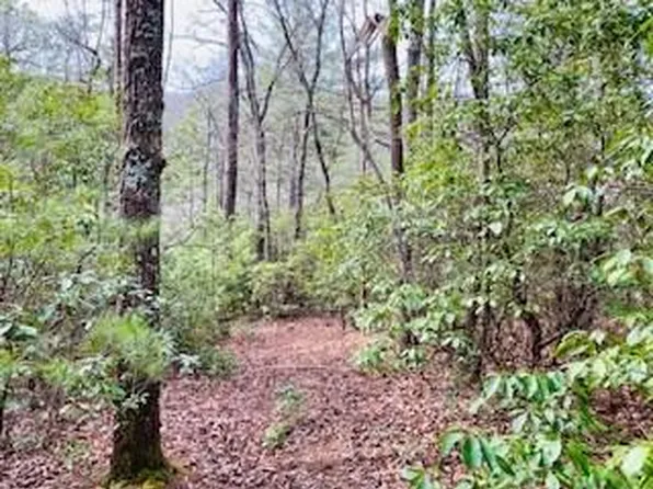 Fisher Field Rd, Blairsville, GA 30512