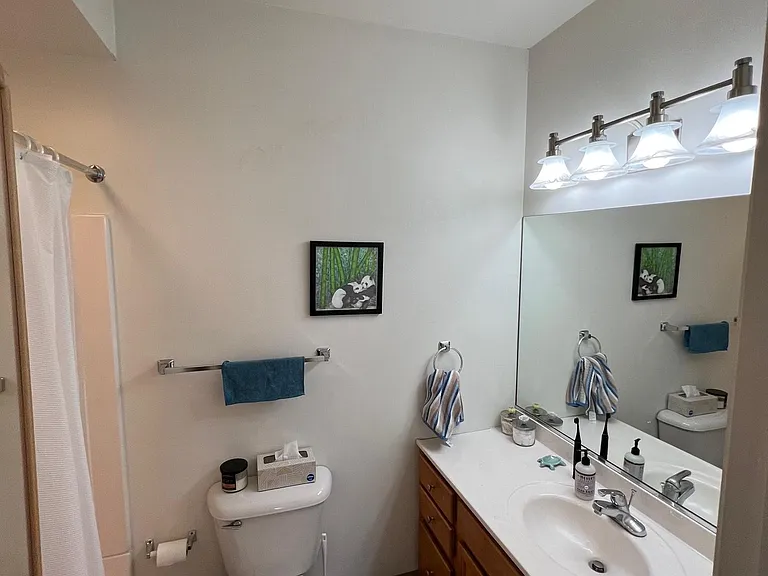 6 Dewitt St — Photo 15