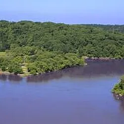 Rented by Nelson Management Group