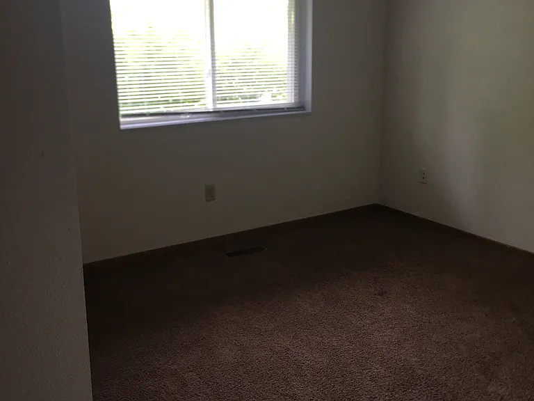 296 Magnolia Dr — Photo 6
