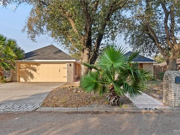 704 Tulipan St, Palmview, TX 78572