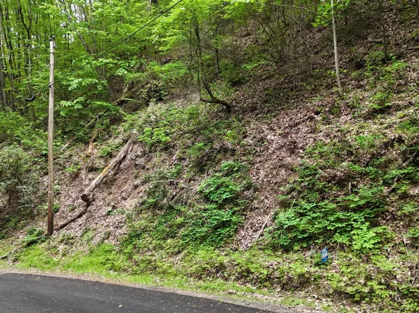 27 Black Walnut Flats Rd, Sevierville, TN 37862
