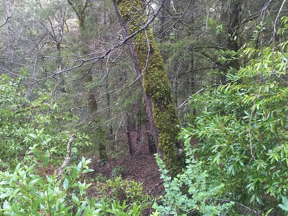 1st image of 250 Hidden Ct