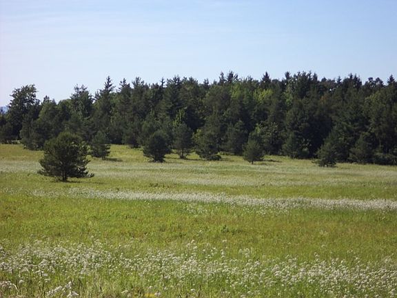 5th image of 3270 Barkley Hill Rd