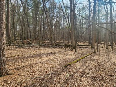 S Badger Ln #17, Arkdale, WI, 54613