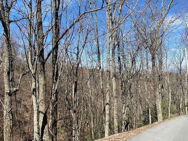 2nd image of 29 Saint Moritz Ct Lot 29