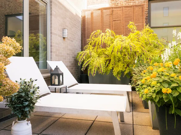 224 West 18th Street image 7 of 19