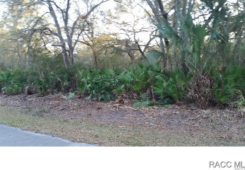 2nd image of 8190 N Flame Vine Way
