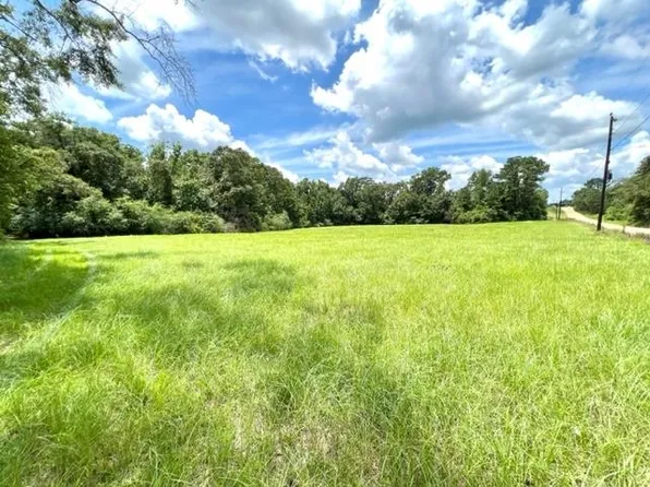 0 Ellis Griggs Rd, Andalusia, AL 36420