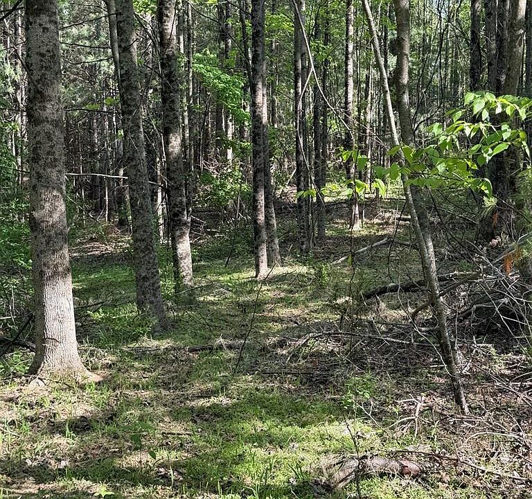 1st image of Lambsburg Rd