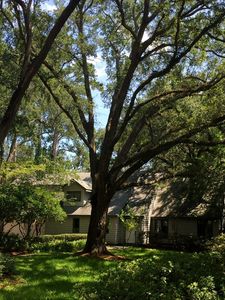 106 Tolomato Trl, Saint Simons Island, GA, 31522