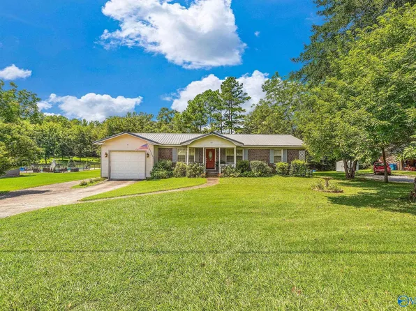 261 Ketchum Rd, Blountsville, AL 35031