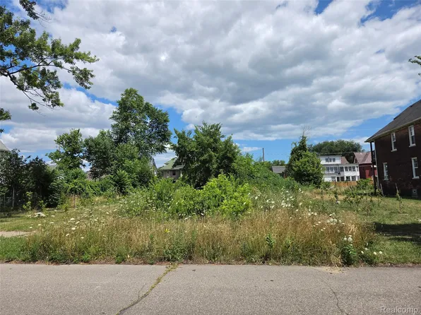 1736 Baldwin St, Detroit, MI 48214