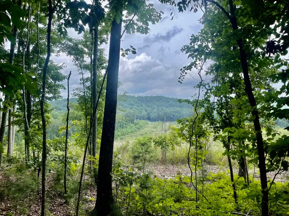 0 White Oak Rd Lot 4, Summerville, GA 30747