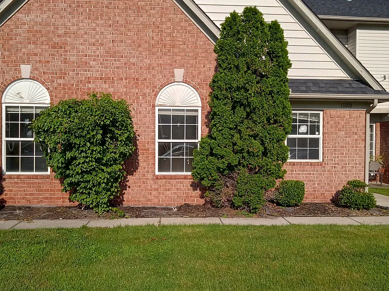 17203 Higdon Dr — Photo 1