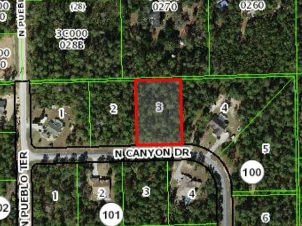 6163 N Canyon Dr, Beverly Hills, FL 34465