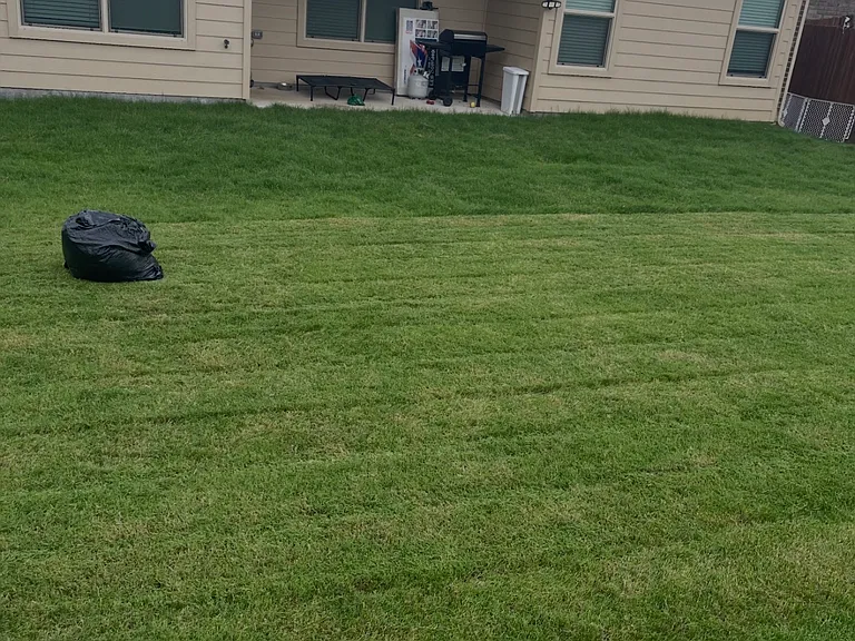 5208 Blue Night Dr — Photo 18