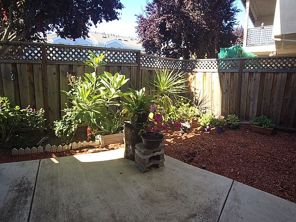 4th image of 3697 Sunshine Pl